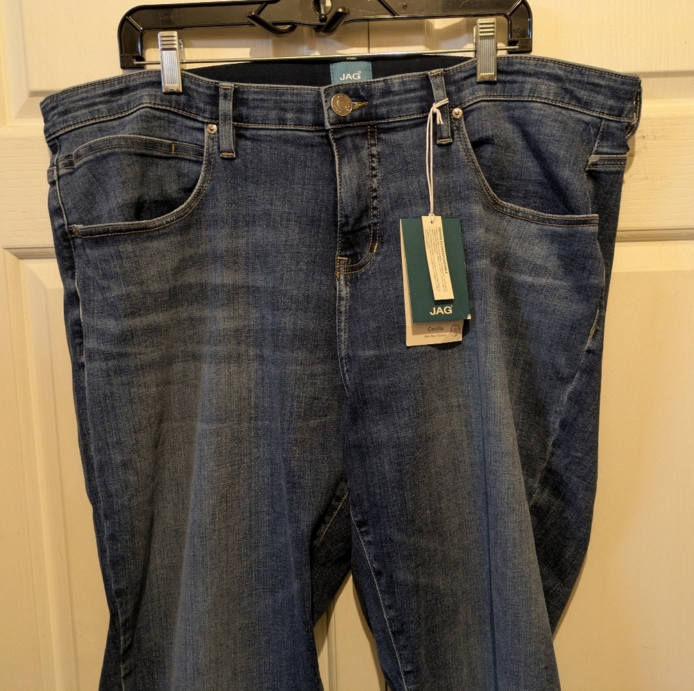 Jag Mid Rise Cecilia Skinny In Sky Blue Plus Size 22W New With Tags! - Picture 5 of 16